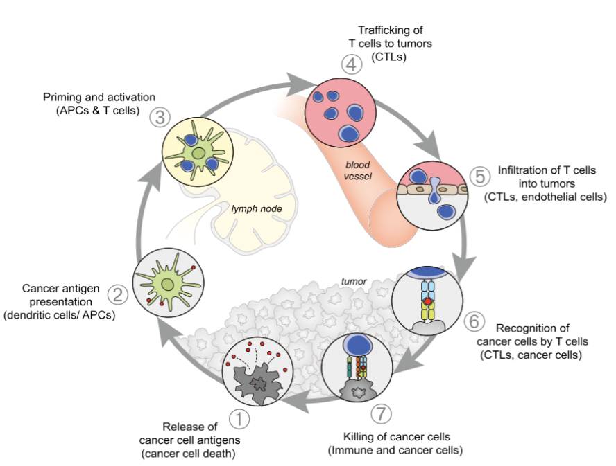 RmFicvQBAkgAlGbnCiawv7dMAPIZRpyhJoNxpLFH0C7d6HPdXKqnv9g1fFk11E01HmiaViasicoFRkEtGM6Yu5HCRLA