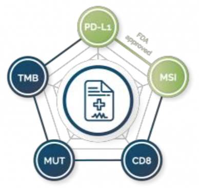 RmFicvQBAkgAlGbnCiawv7dMAPIZRpyhJoOL15WY0PdWc7CxQB0MjYAtZfHYy3I1Cg7DFkia9MIOMxGiaMMEXqNsDA