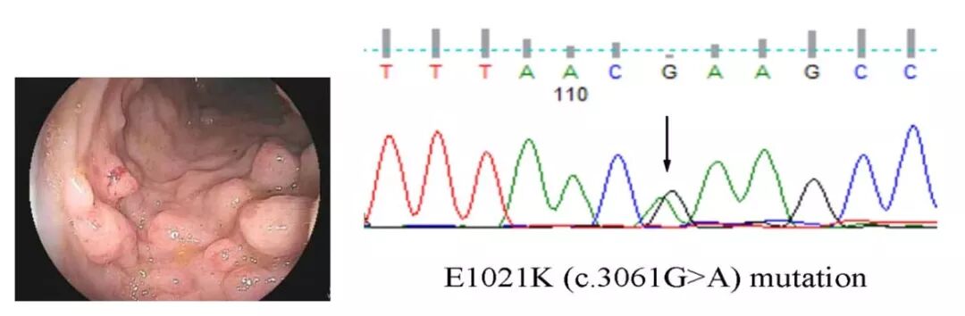 RmFicvQBAkgAnae8Q55wdgv4eHUFREv7bW0EQpIdFPYQNA55Mn1bAicJcjm8doNOb3OqCvSuLctqGia3dsr7T6X0g
