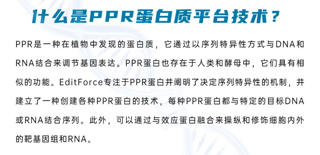 RmFicvQBAkgApyeldEPF2IDFQ7PUxg6FjNaGiblaTf9kPa2QaR5xXHNdELn7jGKPZqaYyQ0plvZZ27ZLYoDTvibhQ