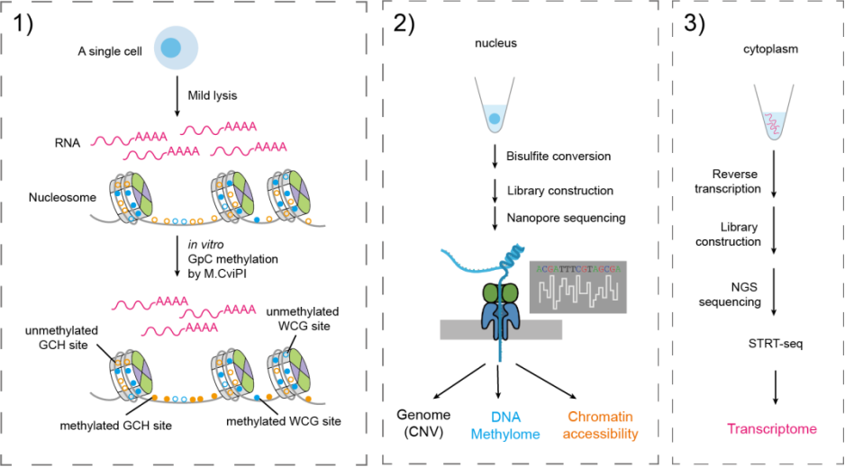 RmFicvQBAkgAqhV0QfPiaibWqIphmUWPMtSsicSC2zUAEEWeG8UN1rsd7gLl1l3sGg9JU7PaH0sHRr5Re2U42edMyg