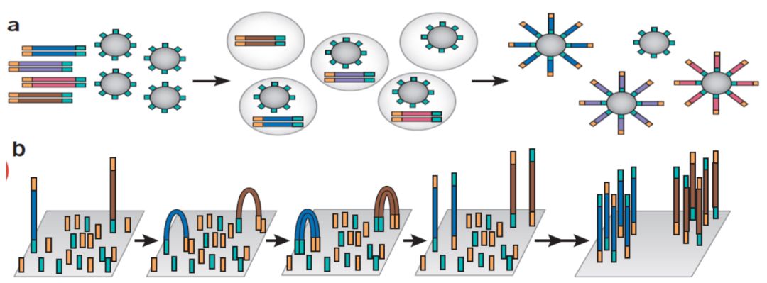 RmFicvQBAkgAqxnlZqQZ3F4v0ARibdibrlpCA4y2wq66WxArPeM0fnYuzdK3sTmPw91YosK4zR8uGf3oPmyewHuyQ