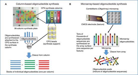 RmFicvQBAkgAtSgvIF2U1FibO11LzMlgICEEvMcwiaktpaEd90Ulls206c4mEgONWRqnHibIYsib7AxNBC3VH8X7pPQ