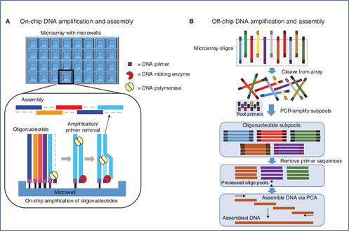 RmFicvQBAkgAtSgvIF2U1FibO11LzMlgICVVpWpW9pYh8WOStbicxwaEL2TCOUbgZhWhMGfZuFuMjHcMedvhphelw
