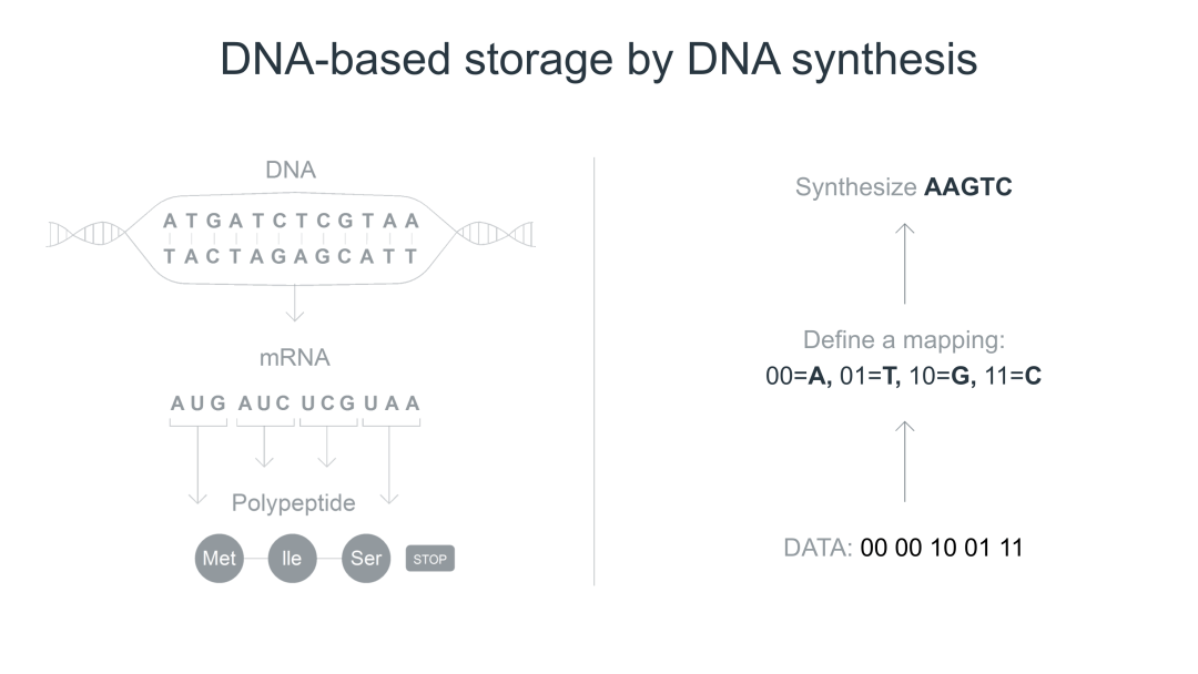 RmFicvQBAkgAwcVKvZ6BPHjHyVLZD7bMrVRUmfMgibJ5n2T5H3L1EvmgmVXdhmx9gAjLicvb5RlibHKYVib22aicic6Ww