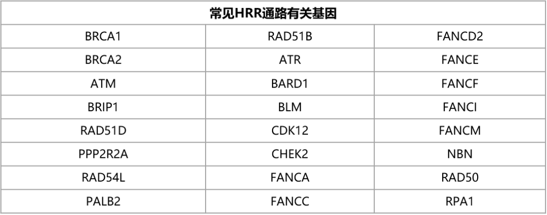 RmFicvQBAkgB41ym1FesiaDibEYBXw6HhViaHZTaL73Ix56K368g8tlGsV1tRHX8bLEJC24I31lxTRdLYdKBu3zxzQ
