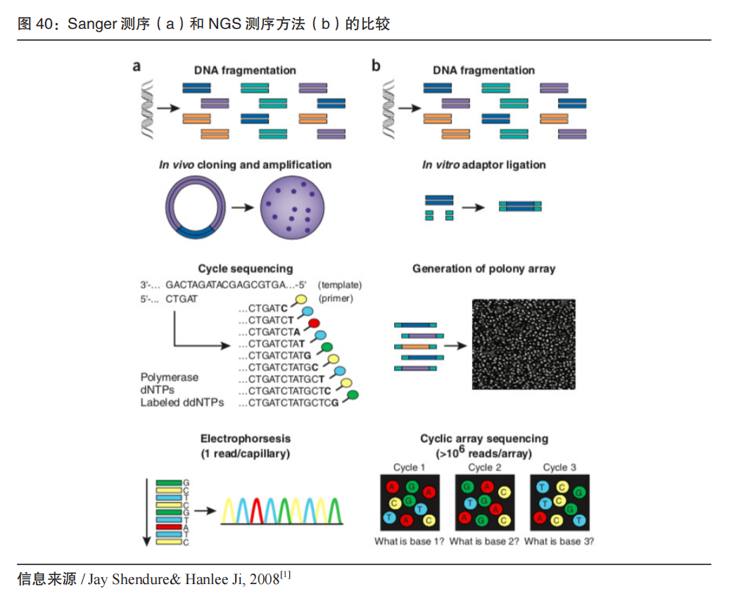 RmFicvQBAkgB5W5ICbmuwpHobBBEsfUyPKuDcXkoO0no6N6QoFThwWJe6wfTVjaZmx5HMvmqsHLs9FMMaPkchyw
