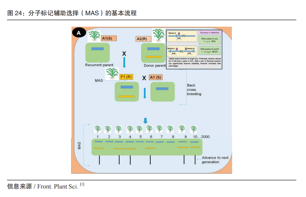RmFicvQBAkgB6HDeZ1lUT0dRDOuic2cXlRNn9wmcYIchD7K569stXU0bWY8KP53jpf3BJPeRuwRfZicAYqZfWK3zw