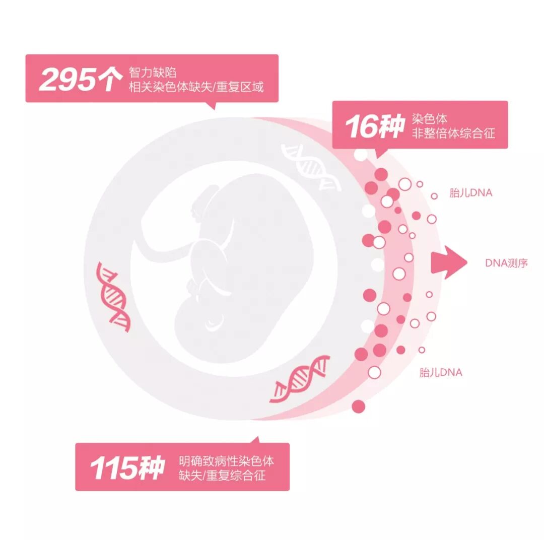 RmFicvQBAkgB7cExIWuNJ6IRWXgAdAhCzgv7GpO5FicIKicLYPTmoicdTWdicnDHUC9tJlQyPziceU27FLiagLzHd0OXw