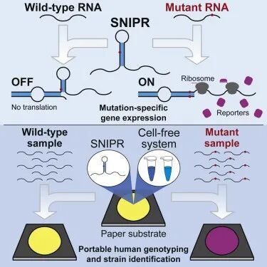 RmFicvQBAkgB7yDL6z18wNbP9pFwACNmg7B6WeRb8JvgaGazGr94oDk6sDYL5kGcnialftwhr91KtG16964yT8ibg