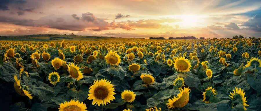 RmFicvQBAkgB9qFnw1cUBVPRxVr5HoXFC1rVKiciacQvklUSUbhPKf9L0DtkzfPmcFSWpuDM2vicdpFzPl7Iibl9GhQ