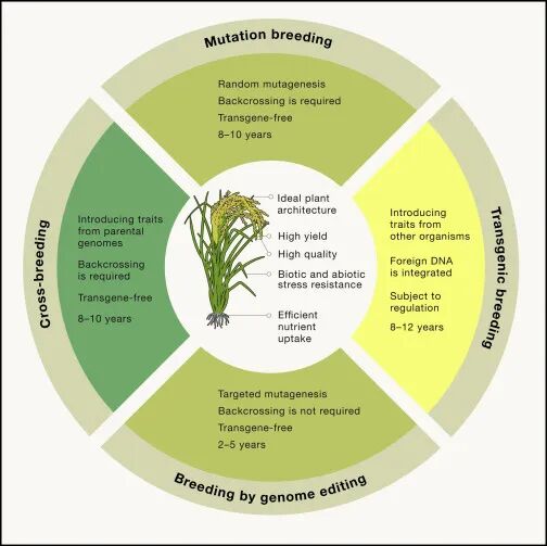 RmFicvQBAkgBAFG7xzVwCJ9Dia0vwdZhXibTvCicfutDibtRvBpQ3z41wSsrKjPsbKiagyfRZTia5ibiaGpIGanWyQdtq3A