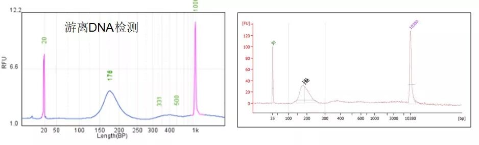 RmFicvQBAkgBCCX50F8neGdwczst8zv6HI2KFuhek2gzZnW46rvaf1RnaCicRD0lfia0ebsbKeiawrTqJhDoogEc5Q