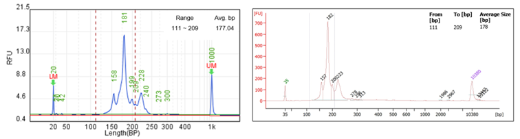 RmFicvQBAkgBCCX50F8neGdwczst8zv6HOo09J8veUq4mJqVvpD0MMvPAibpXFq8IIby8uGic3o4mghQAORXkZYXQ