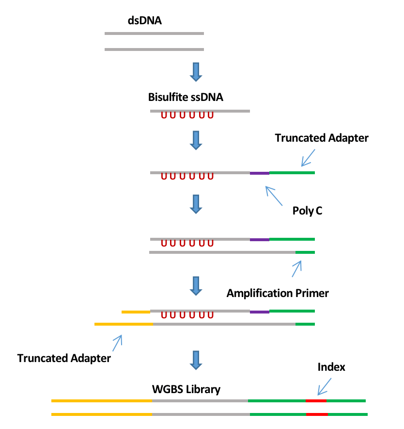 RmFicvQBAkgBCnoXwL82fPGtN82mIqoKuo3ahI2cJ2QbicLrxwuYXjzt3CzWHFia55vj6HaMibPQ1KjGOw7HMW3lbw