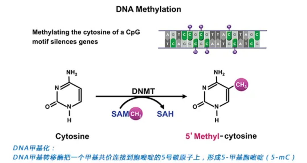 RmFicvQBAkgBCnoXwL82fPGtN82mIqoKus8ZGe6nOydXiao4s0cuibBELY50qkXCmhib8oZDTxEJzZMUeOUpZicoKBA