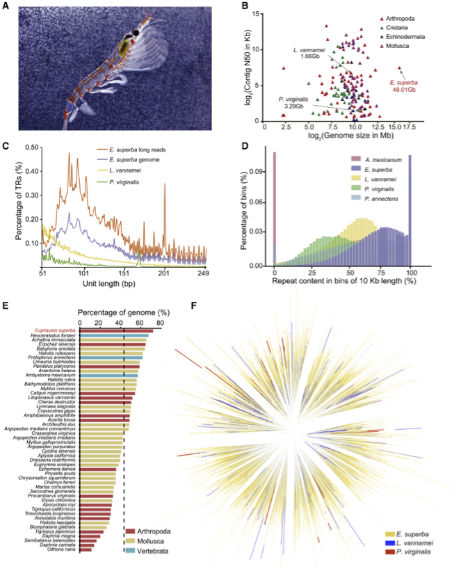 RmFicvQBAkgBFgsjVHh5VMTU9iaFv4EhL4rv7YJ2gOxu9EvsTLgzs6LRAHA9awiboakbHMa7wtSxHPkQQExhEkFlA