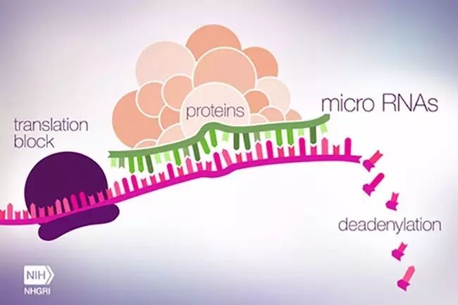 RmFicvQBAkgBG0JUGXHialg4JYFmuEf3C3FagvsT9ds1C2Nu2L6ics32s0o1PJwzXiaFeYKBCoHOAhxCeJxZO2UBew