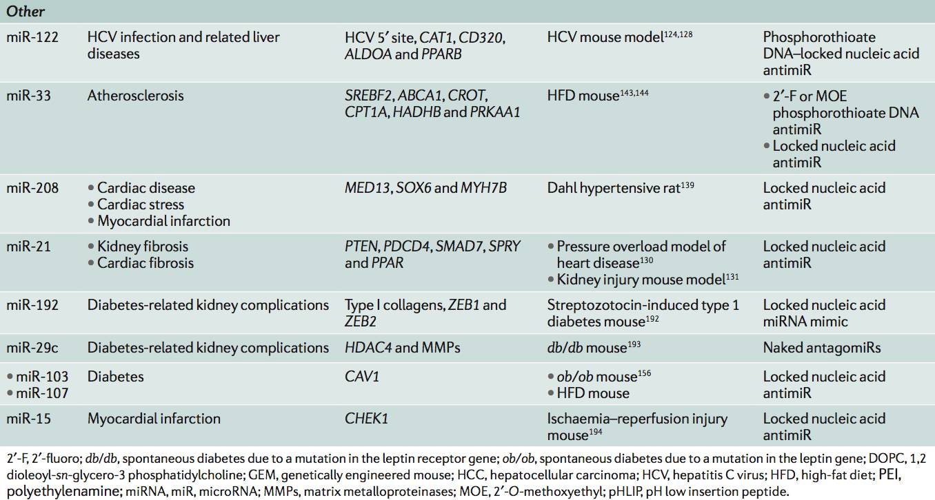 RmFicvQBAkgBG0JUGXHialg4JYFmuEf3C3f28jBgibb31PNzdFHUCxibl0uM4Fonmfzl3aTVvVwRpS0VbFDpaiadKOw