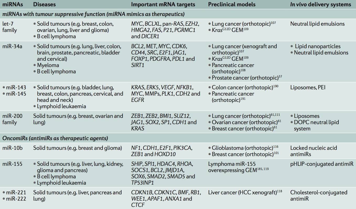 RmFicvQBAkgBG0JUGXHialg4JYFmuEf3C3gOfmMxZdbYKEtmXAFIEFpod7pjMYyumXK75eqbvflL684E6jEaSLFA