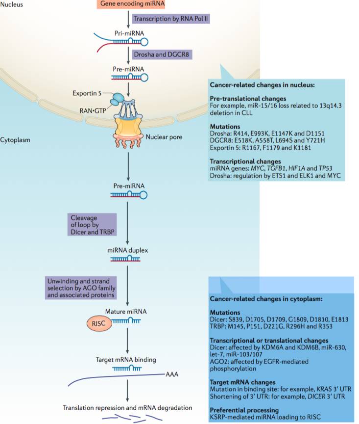 RmFicvQBAkgBG0JUGXHialg4JYFmuEf3C3jaYgc80fZSpeN1LeJNbewDzOSQPmwaLIeqcicVsFajF4jT4smQqSBHA