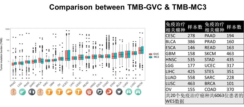 RmFicvQBAkgBKZFls5gtUpBLtUQtTtlrA53DSBSr0wjtXr6mEY8PdPyFG77gMDSRia6U2sjT8Jicp1f18GGy559Ug