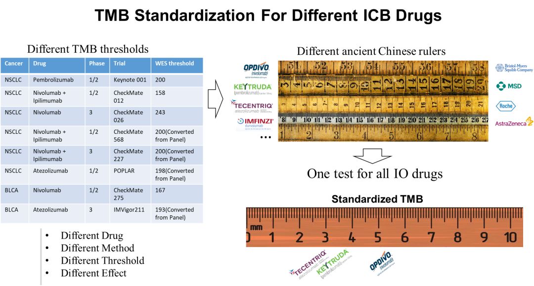 RmFicvQBAkgBKZFls5gtUpBLtUQtTtlrAn0by4ARDq95dibrZmGkfxPicgGaqokkPiberL4hmRIIVM740rrdZoBLTQ