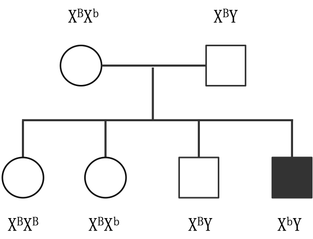 RmFicvQBAkgBMDDZmrfQp51jyxiaV2K7GS7hKGA1tlYee4MtO3MdlRjzxNDLcGico6kUU6pplc2SOOVqHXpcDE0uQ