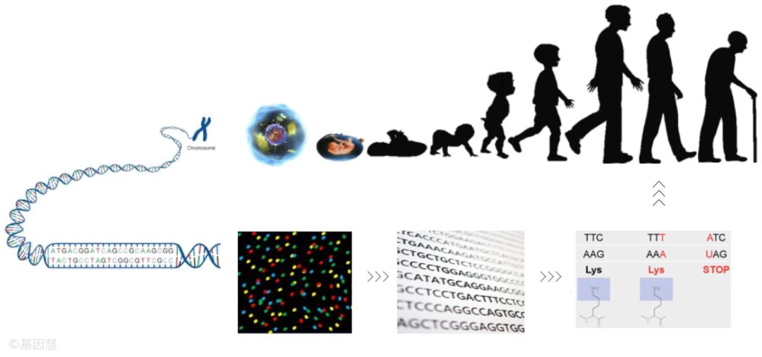 RmFicvQBAkgBMDDZmrfQp51jyxiaV2K7GSyTib9Q7lyouibQNmWOnLmTjaLibsU4FN4l7jOdiajgVlHjiaRSvzZoKsu0A