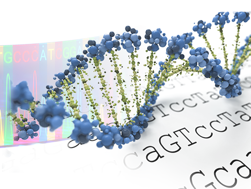 RmFicvQBAkgBOicut87Ceqjvt2lWTNibkxUVTRvOeaBmeRjwnASib9aYxL2icF1XYQopbkX7mDAyPm6wAJb6tWZEUDw