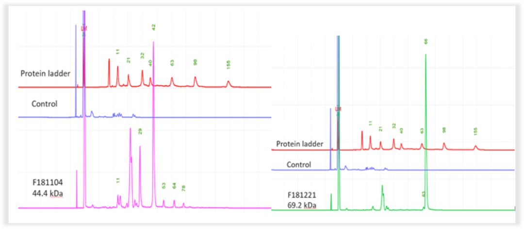 RmFicvQBAkgBPiaxKY21Qohw4pVMwGuc5Y7tX3uUt4I443iaJib59PTp3MLk1mMJM8P95Gl2fib7S1M3alYZBBxc1IQ