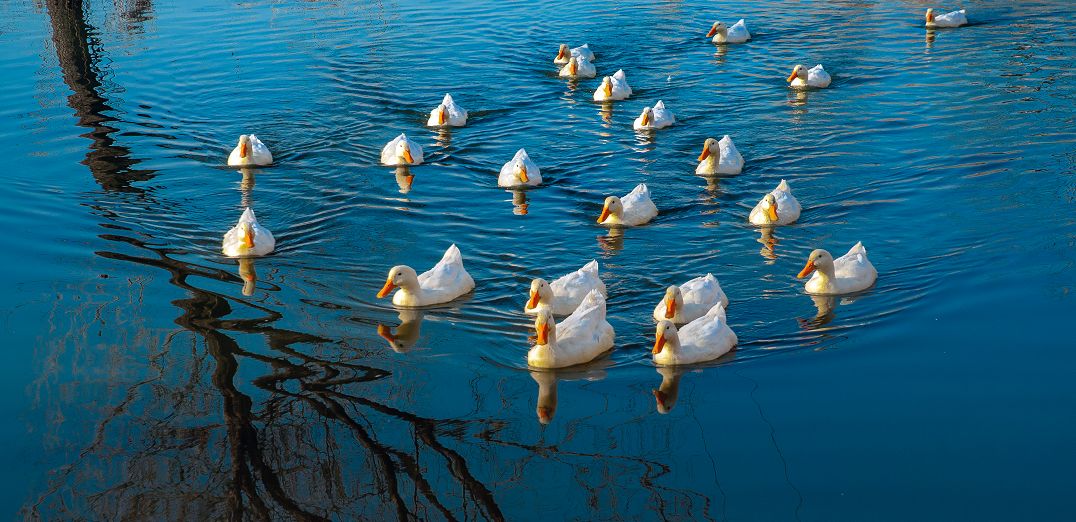 RmFicvQBAkgBPiaxKY21Qohw4pVMwGuc5YLIUZWPksalK7XAeMhV21aYuzlibXfO3SQOtkkl2Au3Nh2rbth6Daiacg