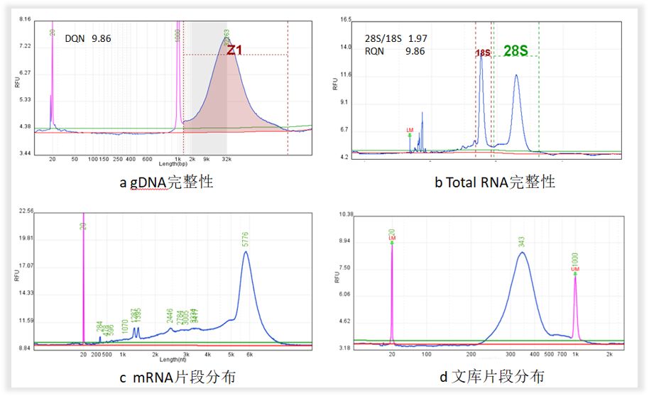 RmFicvQBAkgBPiaxKY21Qohw4pVMwGuc5YcBM0JkCoAjVmoIicYGlfNqZvPnU6GnMiad7cojr2rIJEtkwGpeLAU9WA
