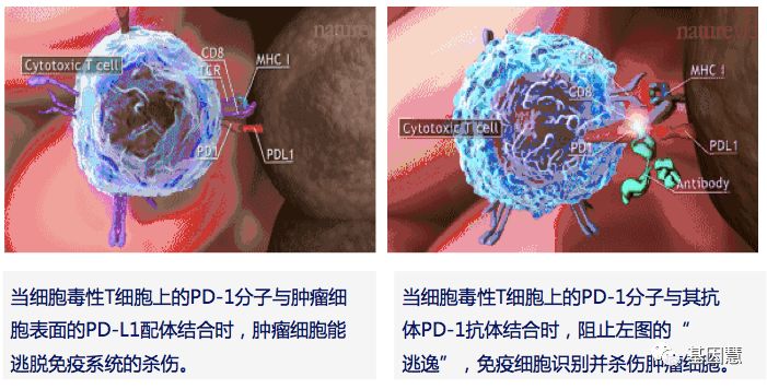 RmFicvQBAkgBQB3wzcmBvCJT3meI48FwQCmJQMG5R8Jygj99quWICdiaKZvm9LOOG6YicxRicqNvky6RQYDa3AF9GQ