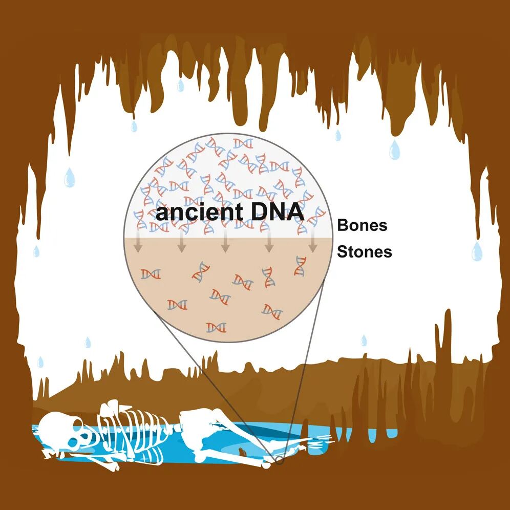 RmFicvQBAkgBQhngeiawUqkq8LIpm5j0Dg16AcBxQaDibiboQWcYLo4afU2ibuBobVtTQftsiapH2SJ9icfzfoaQ9OeTQ