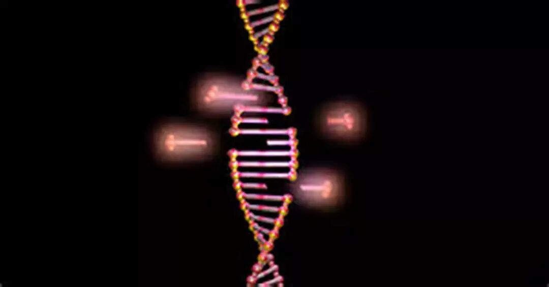 RmFicvQBAkgBUD9OpeSHVpIFFWgsbs3V6pxhAzTphZTrj5tDNpsEMia8JhmXSQlAfFAxJE1Djwuzk2aFvdvamYlQ