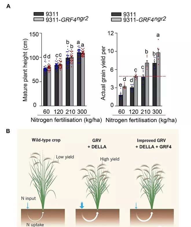 RmFicvQBAkgBUlicY1Eib8nBgpcwBKoNicI7AGbZiaxbpd2zFRfGGaHAfu24dPj0Fiayo5sZ6IdwpBuCWVoDPuxKuJpg