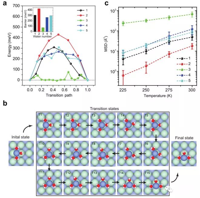RmFicvQBAkgBUlicY1Eib8nBgpcwBKoNicI7bAAiaHOUZj9zTkFeUtC3JmkiaTNm6KVgUDo100nIrJo9c809ibssmPtJg