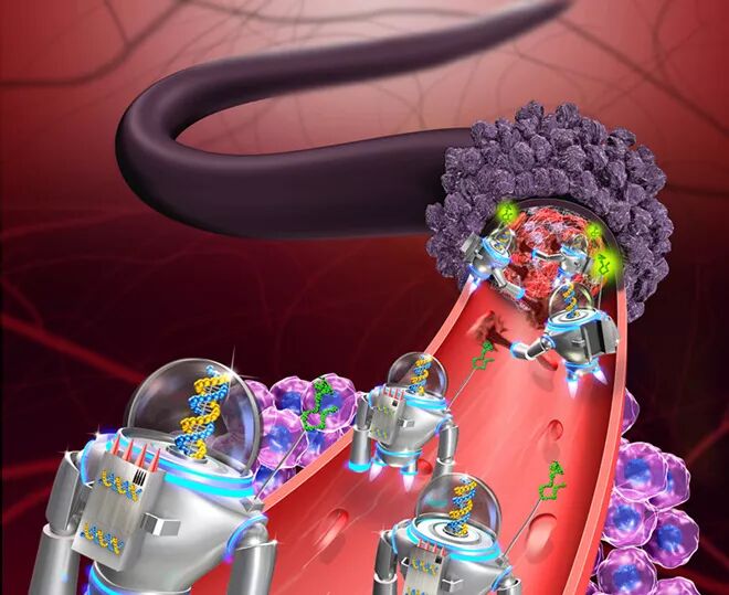 RmFicvQBAkgBUlicY1Eib8nBgpcwBKoNicI7hDqVicJCFTGtekGma7jZaH0NM23wqia00scKalz0xNdfVOu2TIyQYSmw