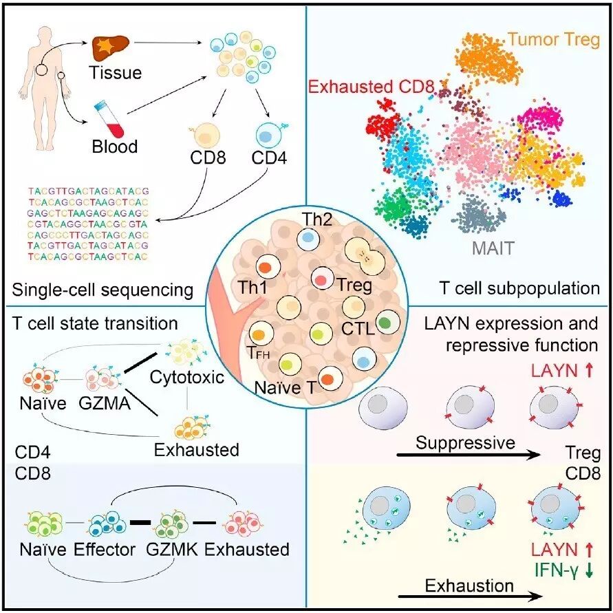 RmFicvQBAkgBVhjmWrogGoO5jYnTeusiaHnD4G6T3YhSW3icCt4gaRYD7sNkRmET75LmU5FBMN0WT6tuaQUMqRM4w