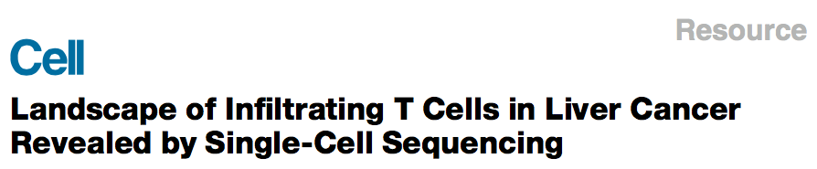 RmFicvQBAkgBVhjmWrogGoO5jYnTeusiaHraNHSkFAZWoibKujalcxwzvZFWzgVJUVMX3lPVz28tXJTIyXOw2KPVg