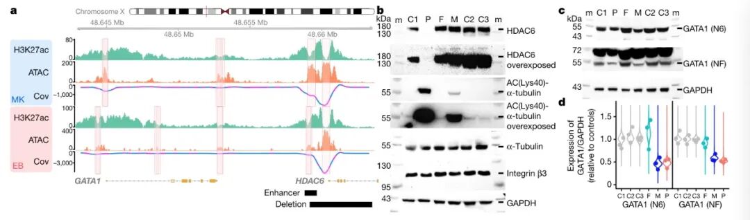 RmFicvQBAkgBW6X6rppg7X3jqdxQy6nI8Mz7euNwI7tbh38TNZh85YbtLmJ4sK6FqgN6KUIgM3MxfzdcQMoNSwQ