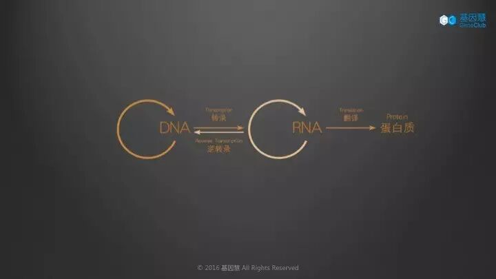 RmFicvQBAkgBWMnnDjkQhPgFgoM55iaLrnE0V5TRHw5YuhgiavkAJDEVomIuTIiaekJm8vCv33VCm9yvLdaHl2AQzA