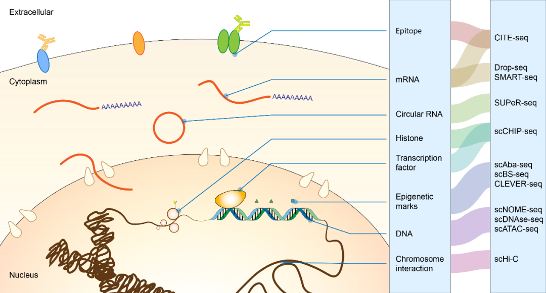 RmFicvQBAkgBaByLzlkc8XcpE8kT5yjMA5D9Sw0ehFuHicvgMqkF1fxZCE0oqczD5PQV1Srb2zGjTicuvlYW3rvlw