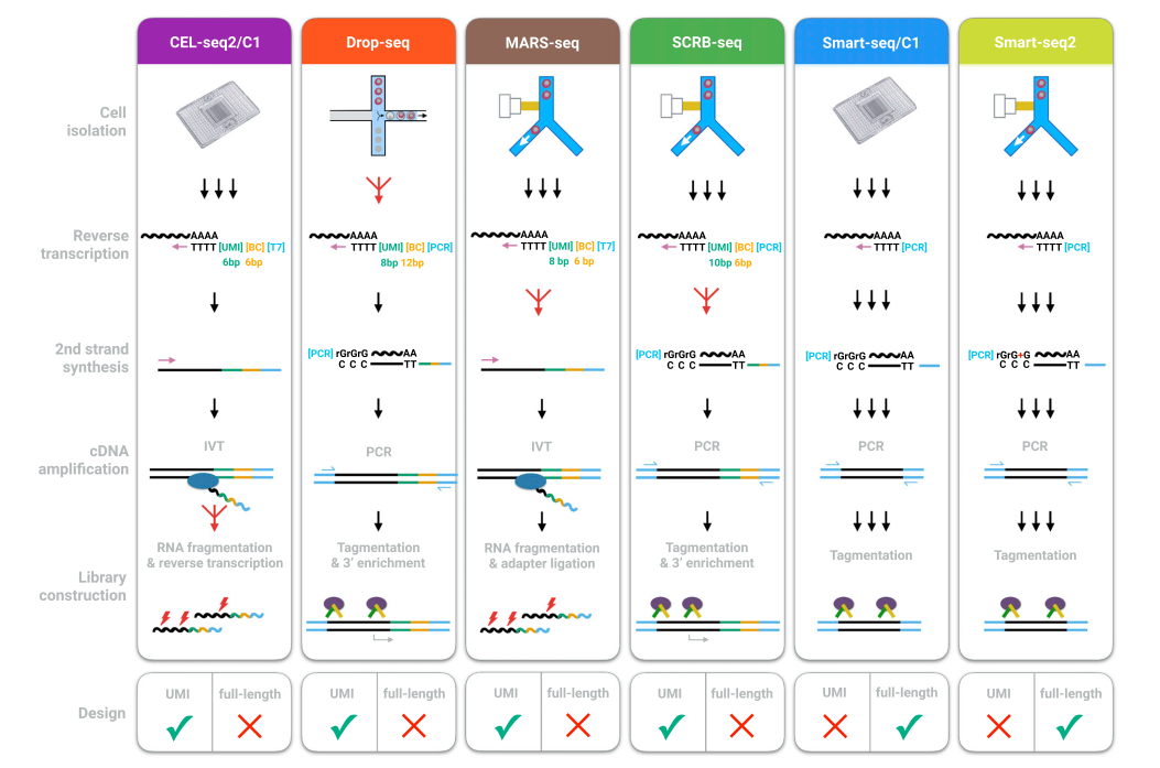 RmFicvQBAkgBaByLzlkc8XcpE8kT5yjMApzLzsse1icXFiagoYUeAnYZoXYnibb0tPU3iazCAg69iajLysPpb08TUJSg