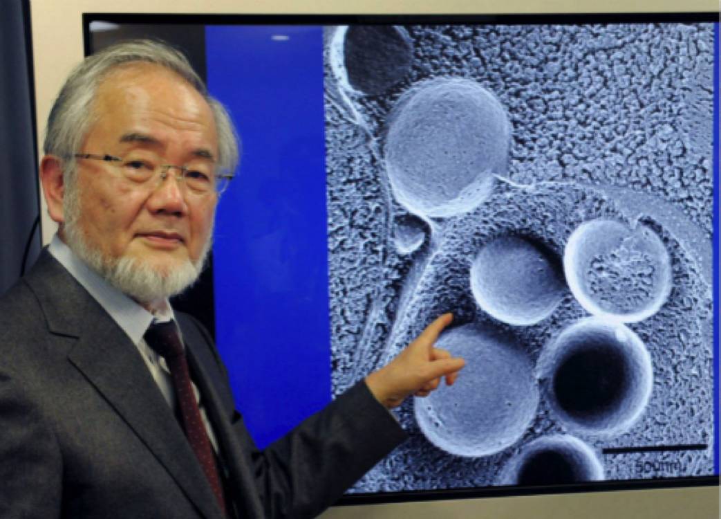 RmFicvQBAkgBdjahCneB3E3WzqNt5CXswP3iaKkS54j1mDGzJ17OPje84j7dx0mJOic9usFGya0dOwXRse22nkMcw