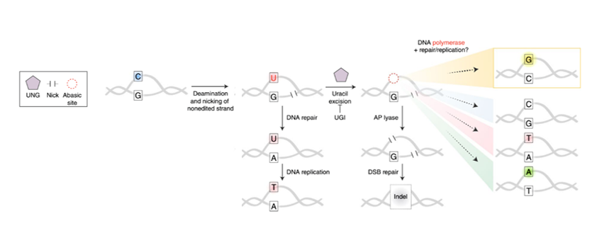 RmFicvQBAkgBeJzO8pcrncOauoTGZlJ48PrxPAUfyPiaEst7rZEEIeUq0icgbp3fmBQOgia5NPbl4hQDcy0O6ibY0Mw