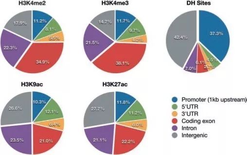 RmFicvQBAkgBfWFIvdH4boPsqCE4YoIia9B4jYibVduaIhkhYRTWjibxxDqiaowmwHlz1a1jt1VDqd9Jic6LqvvU8jSw