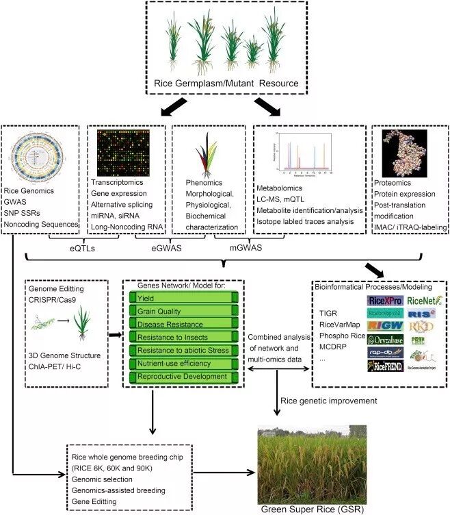 RmFicvQBAkgBfWFIvdH4boPsqCE4YoIia9hat9tT9nNyVvPv2JbLgZHghxF1TvTJjY8dfKsibN65ayf8LFWkFKFHA