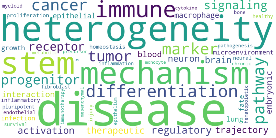 RmFicvQBAkgBgnnkhCibcZuokblgPLIrZp8qNFicCuQmIR3uZM1YB7ibIFds69rBib0xcBYx2jmAyfGkBsqN0MvBWRA